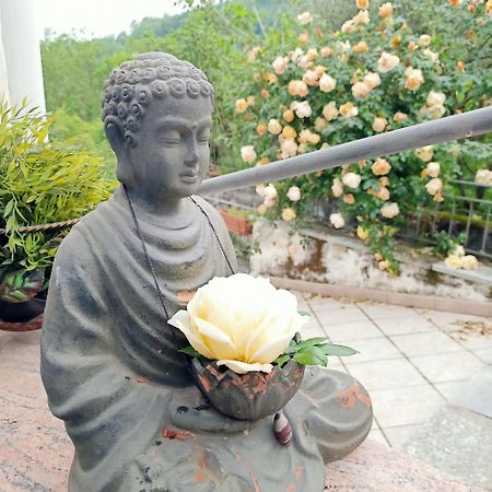 Amrita Rosa 호텔 Castellamonte 외부 사진
